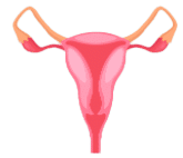 gimdos kaklelio vezio min