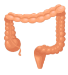 storosios zarnos vezio min